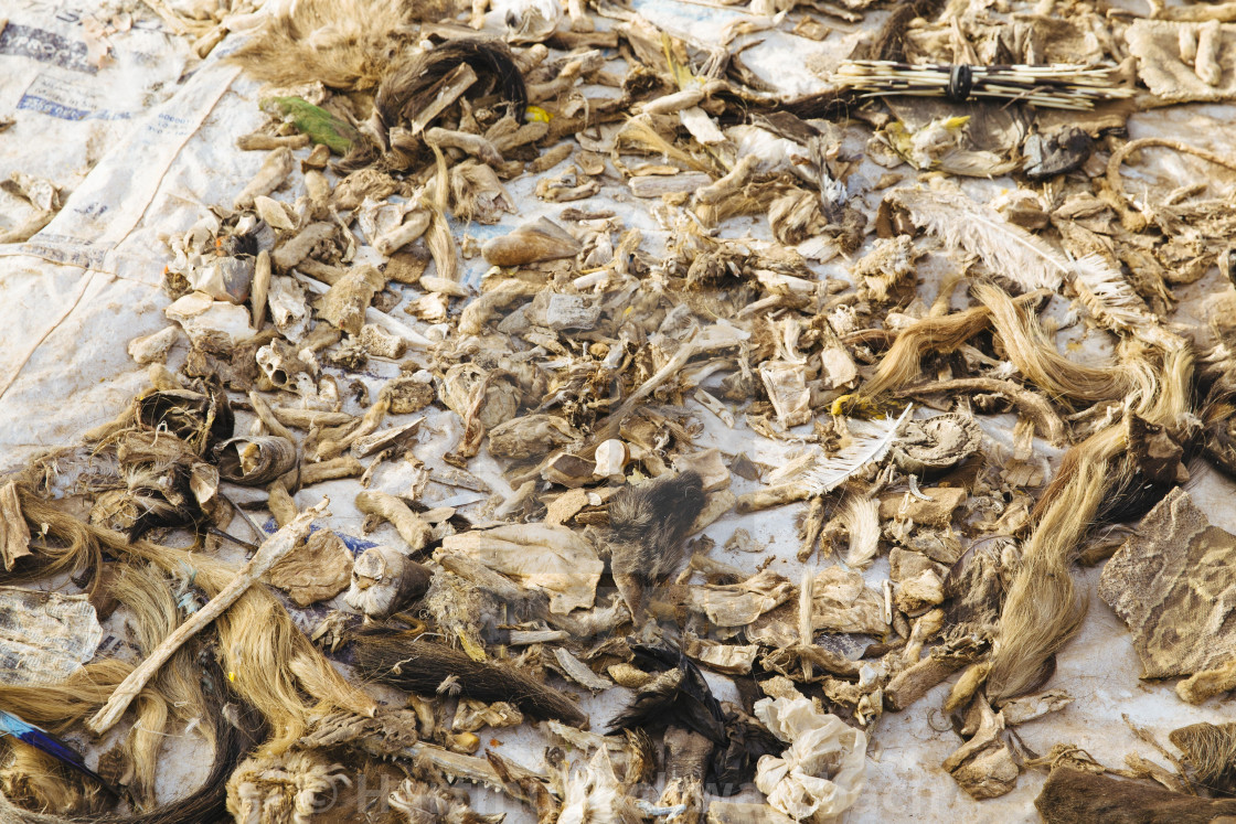 "Traditional Medicine on a market at Burkina Faso" stock image