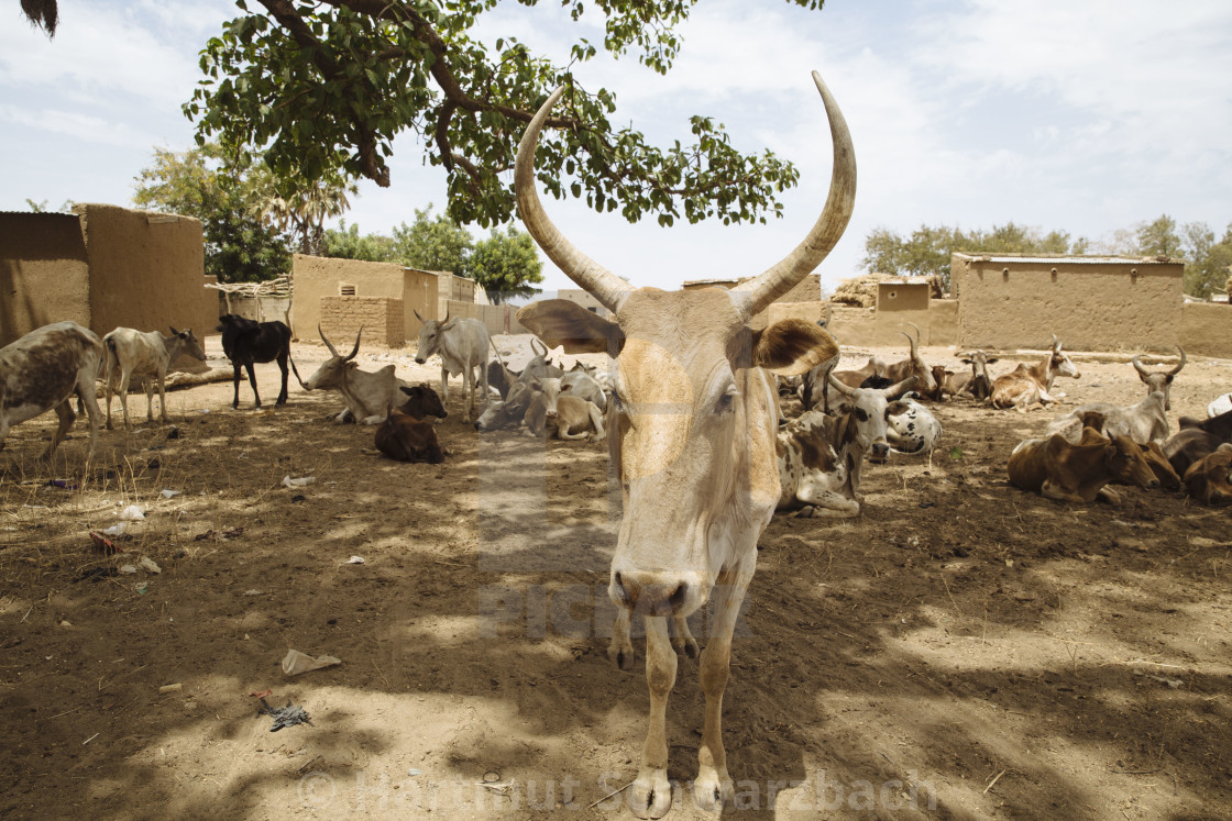 "Burkina Faso" stock image