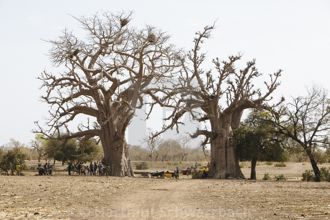 "Burkina Faso" stock image