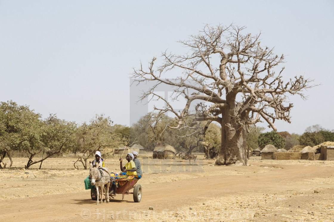 "Burkina Faso" stock image