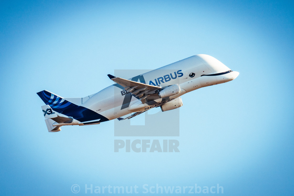 "Beluga Start vom Airbus Werk in Finkenwerder" stock image