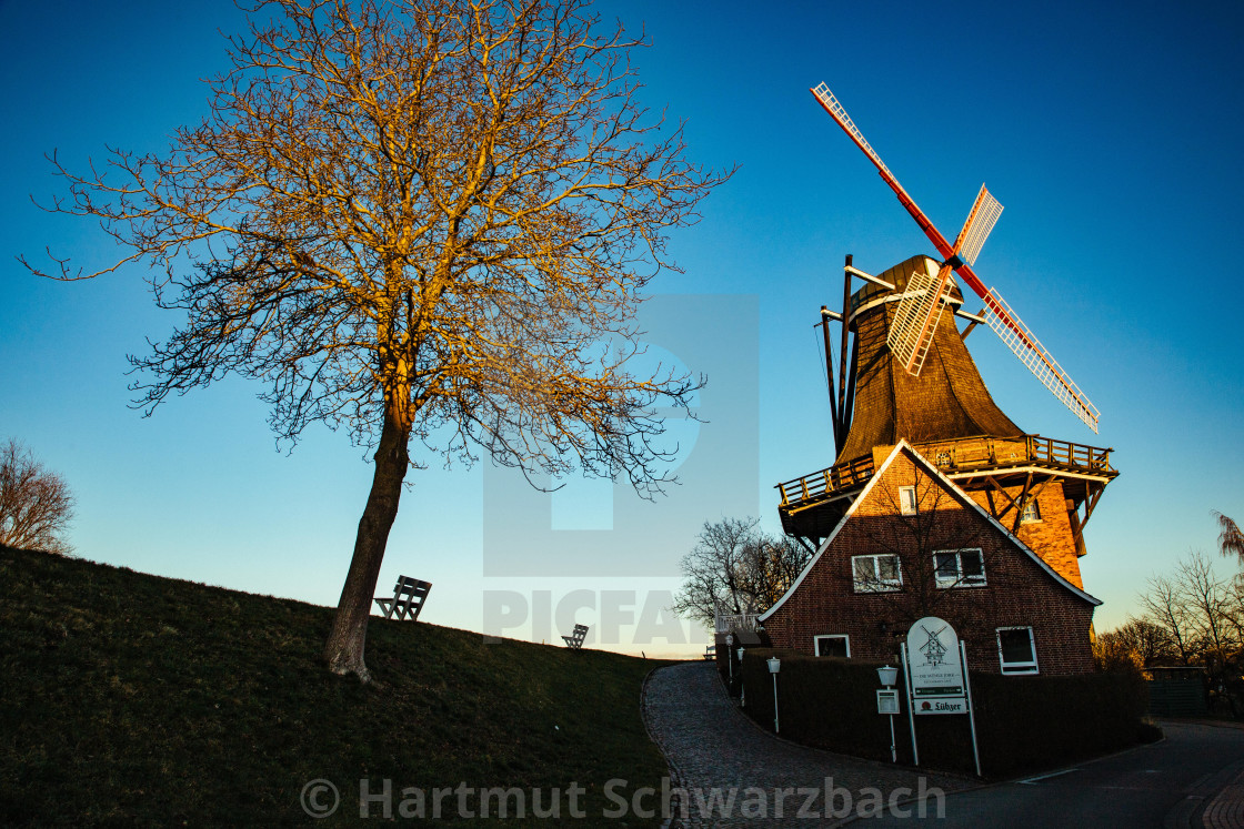 "Historische Mühle hinterm Deich in Jork an der Elbe Historische" stock image