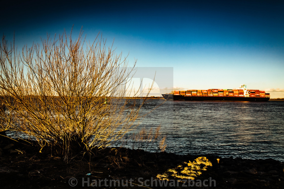 "Blick auf die Elbe mit Containerschiff" stock image