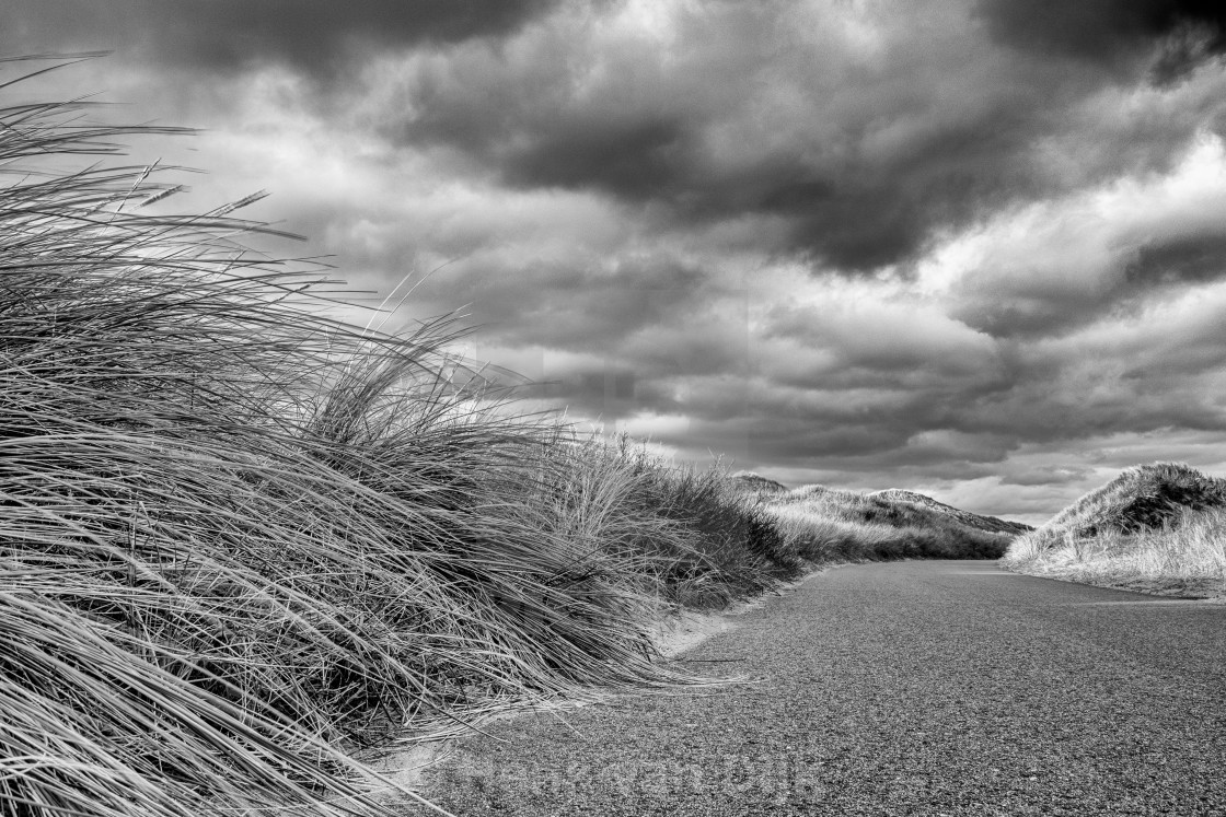 "Path with marram grass trough the Dutch dunes" stock image