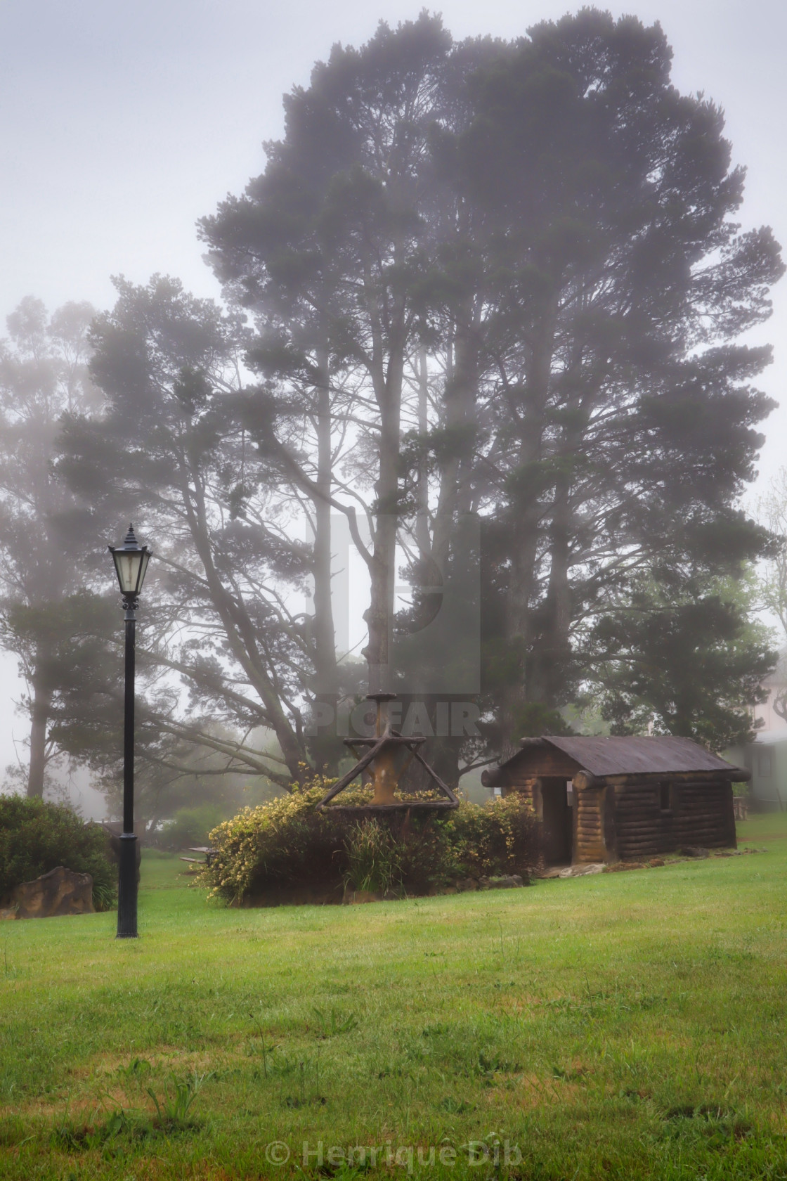 "A Foggy Day in the Park" by Henrique Dib - $3.38 "A Foggy Day in the Park" stock image