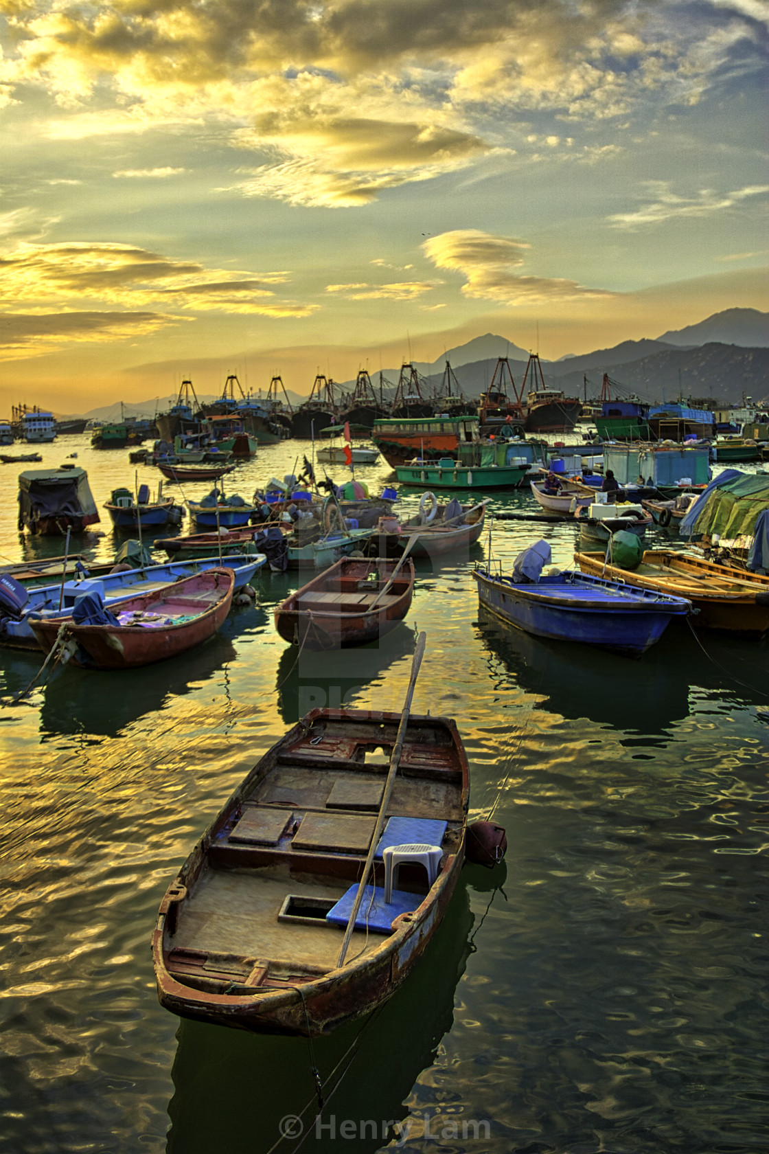 "Llama Island | Hong Kong" stock image