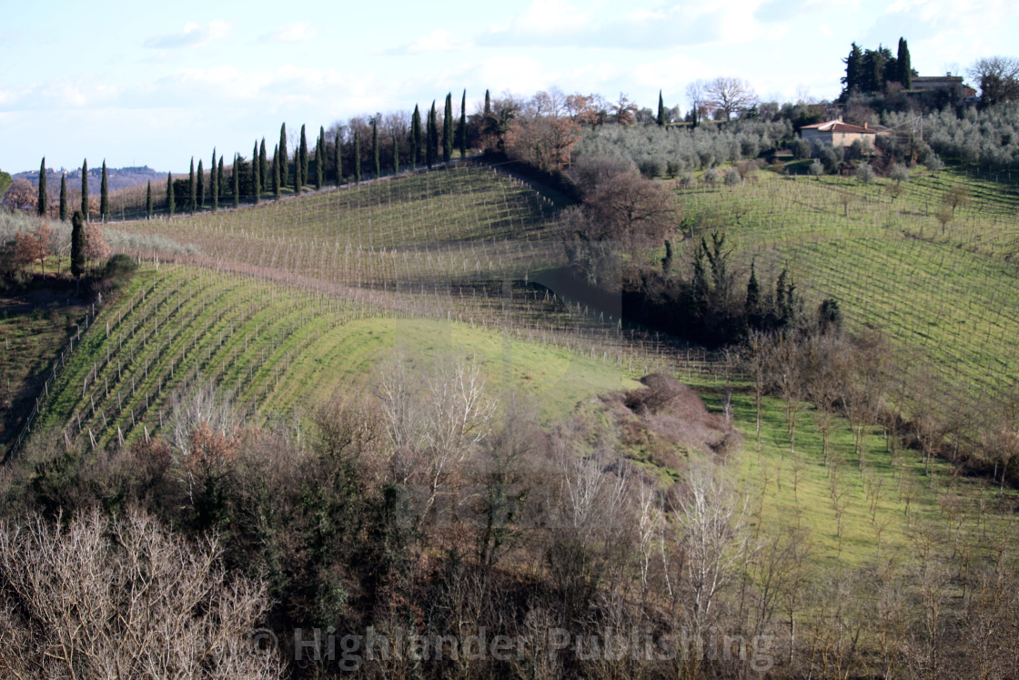 "Rolling Tuscan Hills" stock image