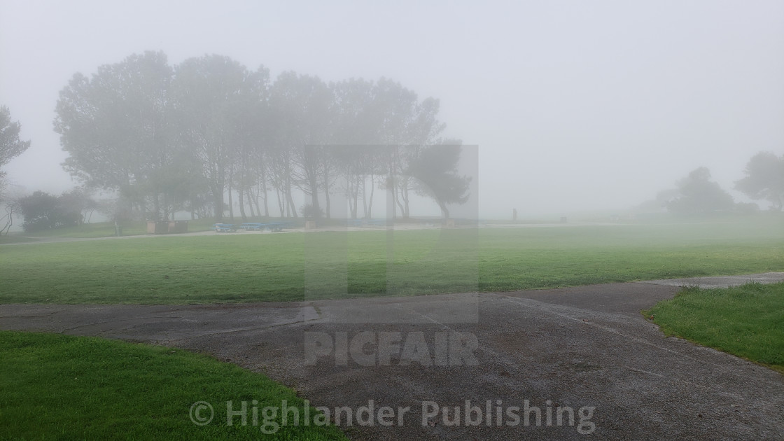 "Fog and Trees" stock image