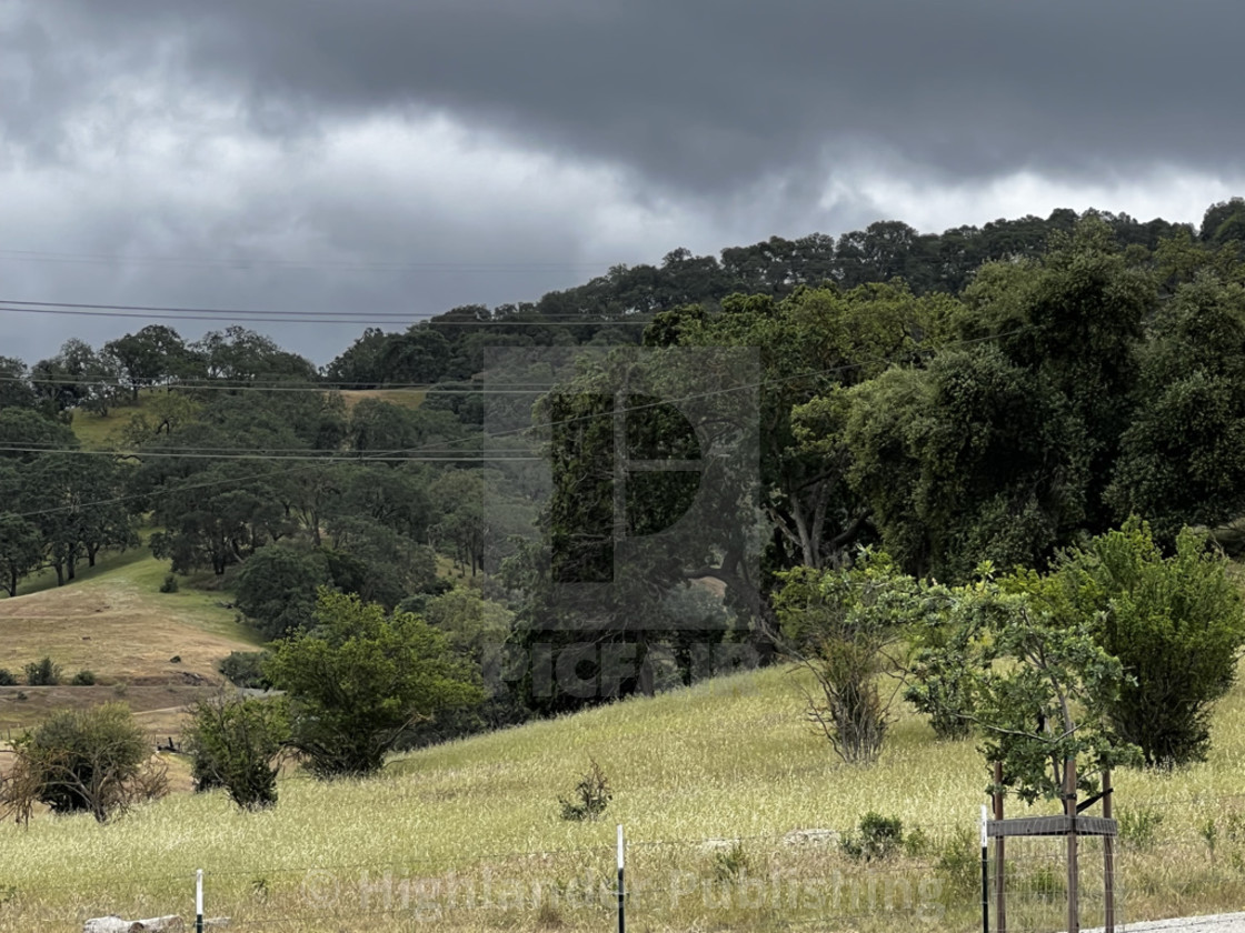 "Trees and clouds" stock image