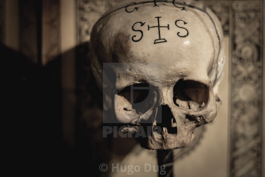 "S + S Skull" stock image