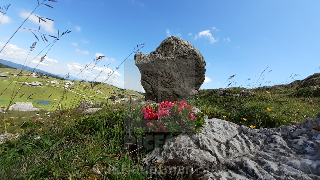 "Huge boulder in the valley" by I.R.Hauptman-Slak - £25.00 "Huge boulder in the valley" stock image