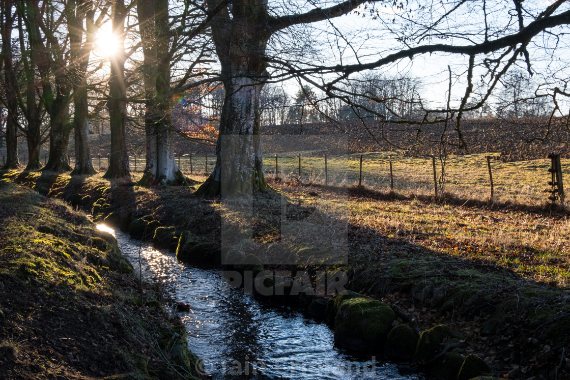 "Tree lined stream" by Iain Cridland - $15.41 "Tree lined stream" stock image