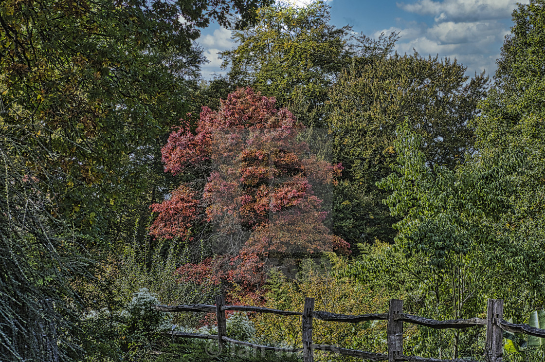 "Autumn arriving" stock image