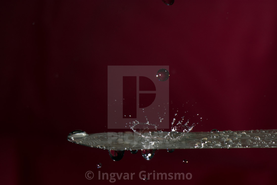 "Water drops making a splash on a Grimsmo Norseman knife" by Ingvar Grimsmo - $12.70 "Water drops making a splash on a Grimsmo Norseman knife" stock image