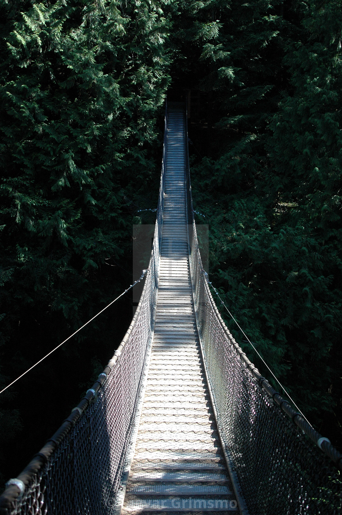 "Lynn Valley Suspension Bridge" by Ingvar Grimsmo - $12.70 "Lynn Valley Suspension Bridge" stock image