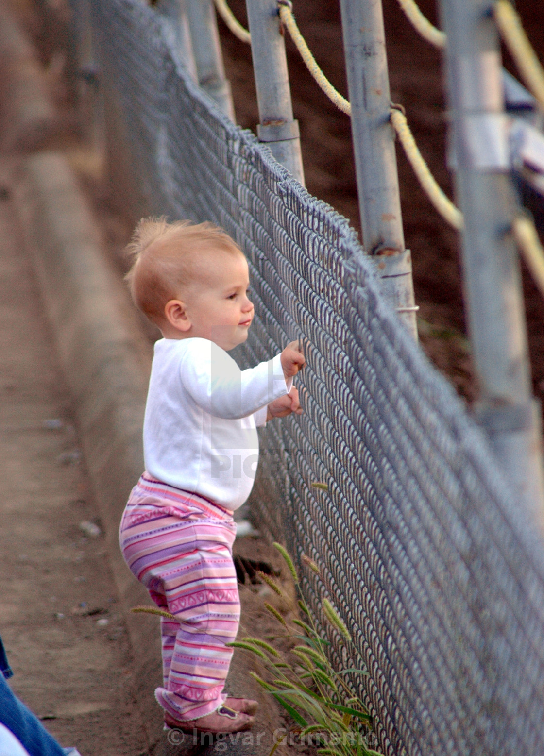 "Baby watching the animals at the state fair" stock image