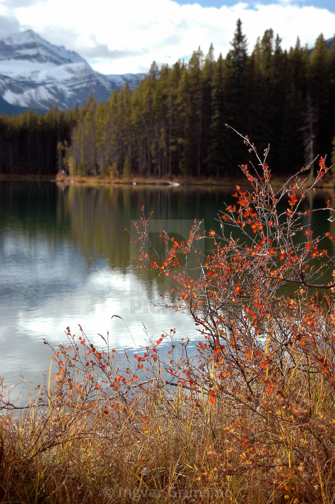 "Fall in the Rocky Mountains" stock image