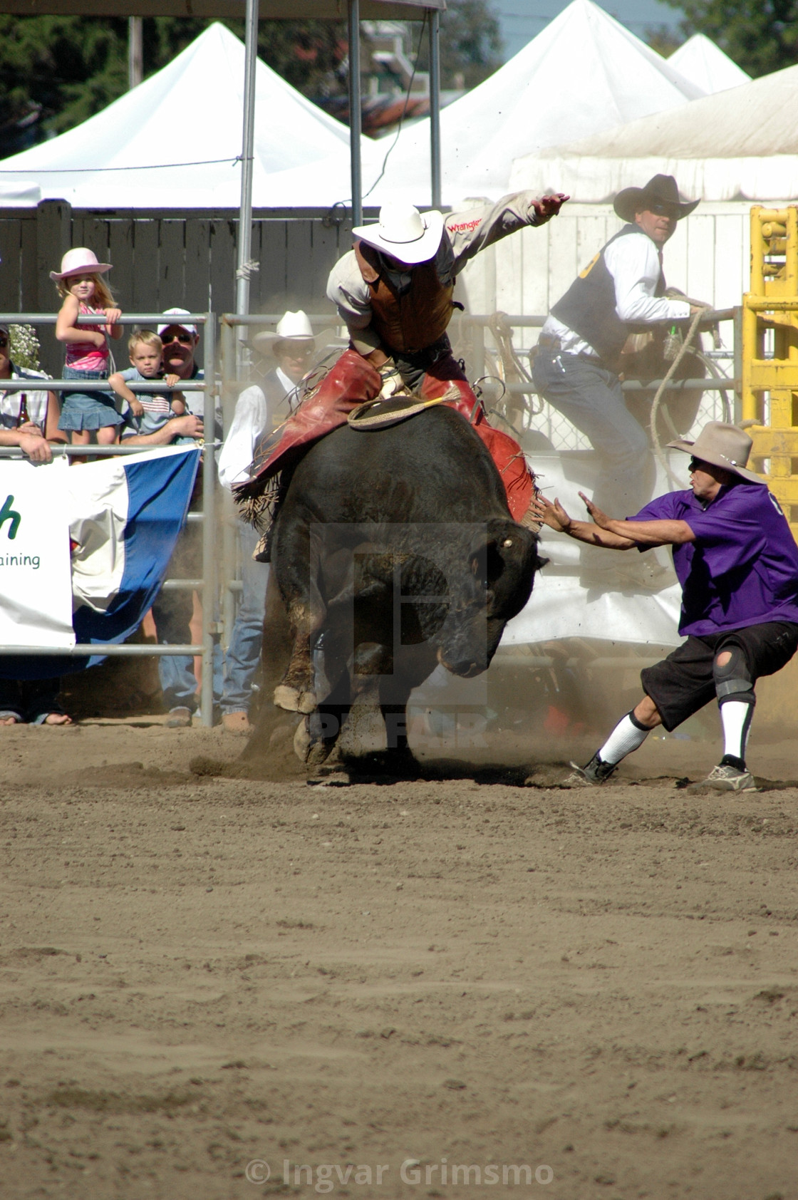 "Rodeo bull riding" by Ingvar Grimsmo - $12.70 "Rodeo bull riding" stock image