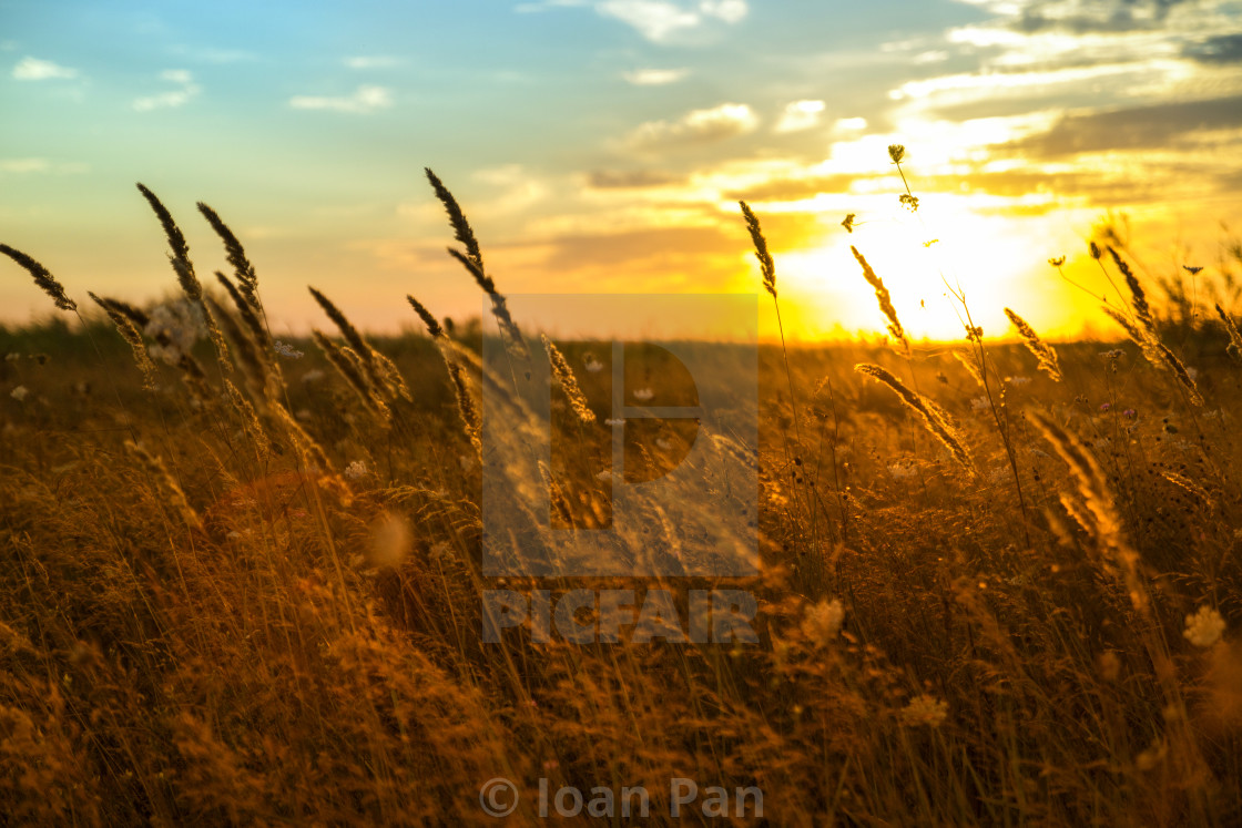 "moments when looking, you start to merge with the whole" stock image