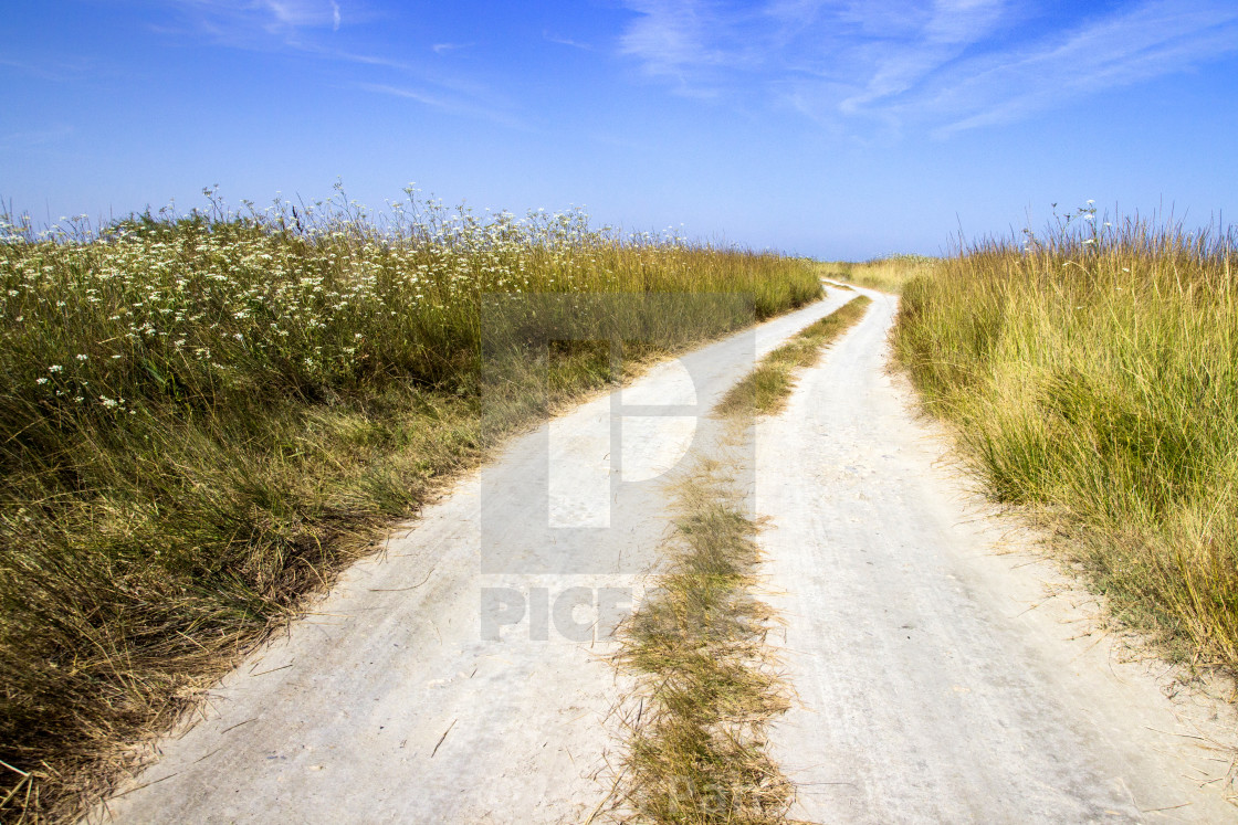 "The road to beach" stock image