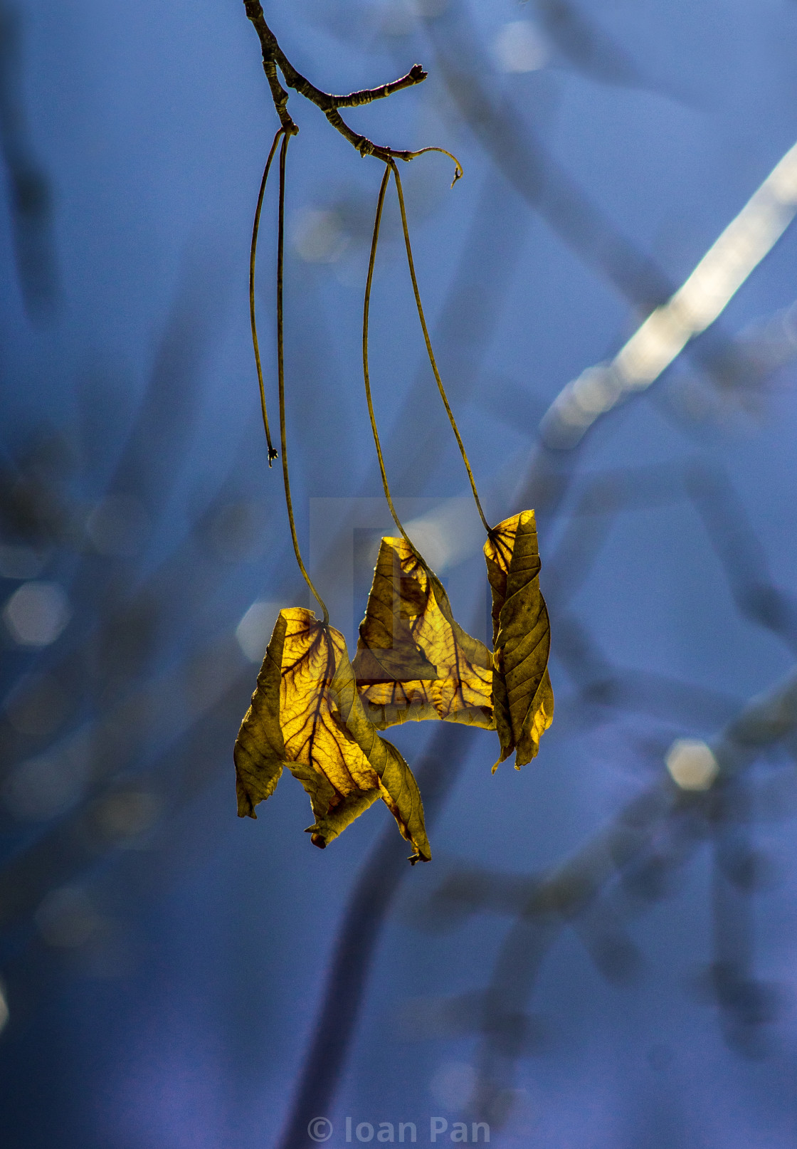 "Autumn moments" stock image