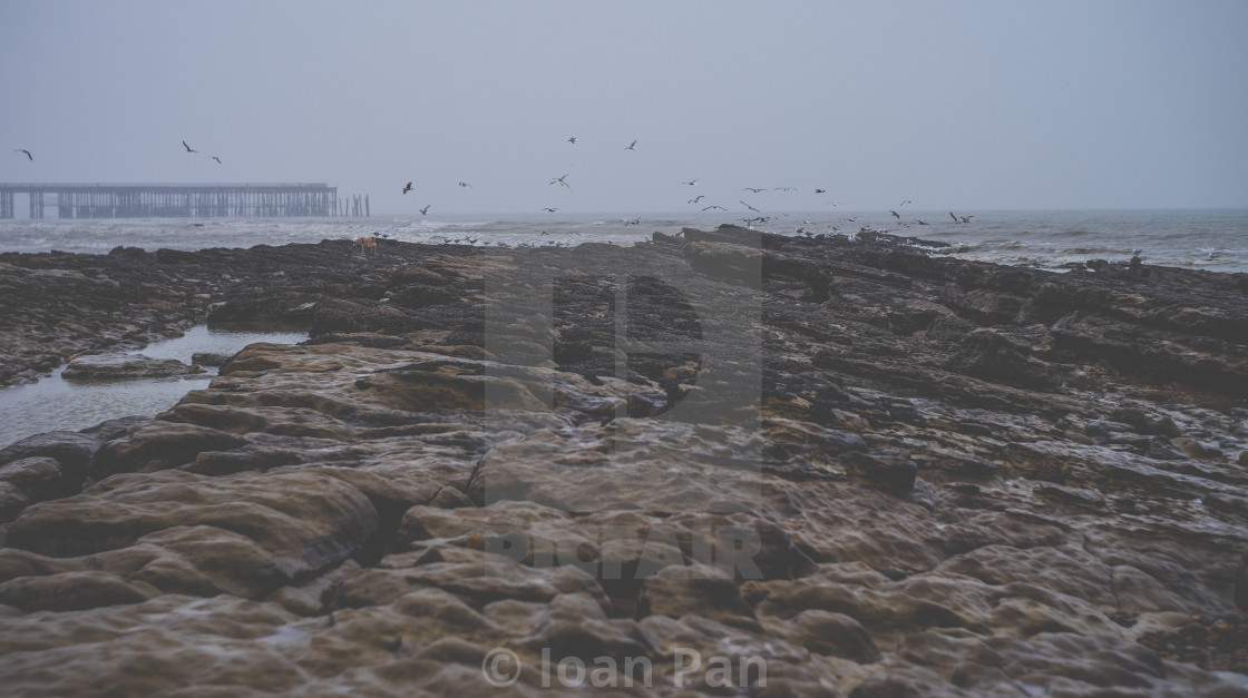 "Cold seaside" stock image