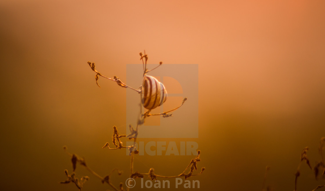 "Warm wonders" stock image