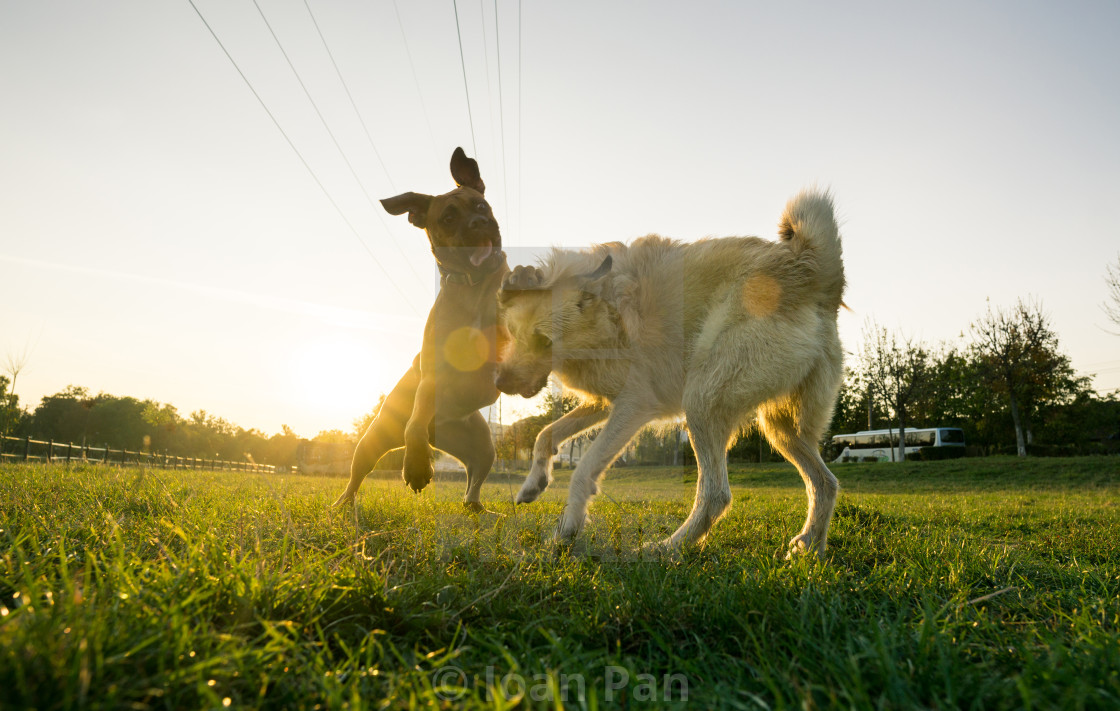 "Play time" stock image