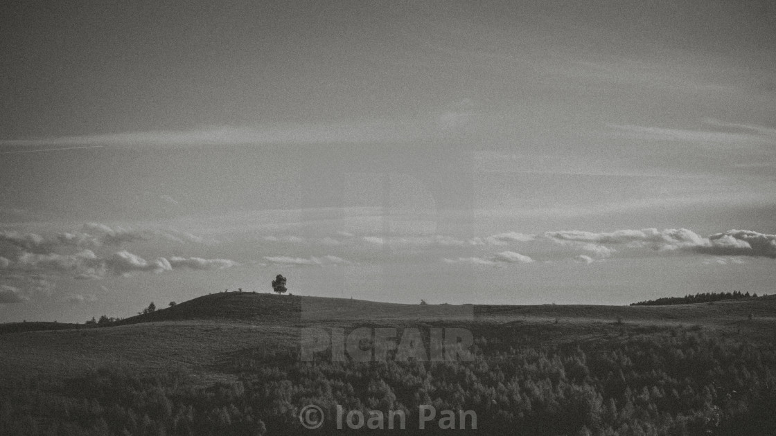 "Land.scape" stock image