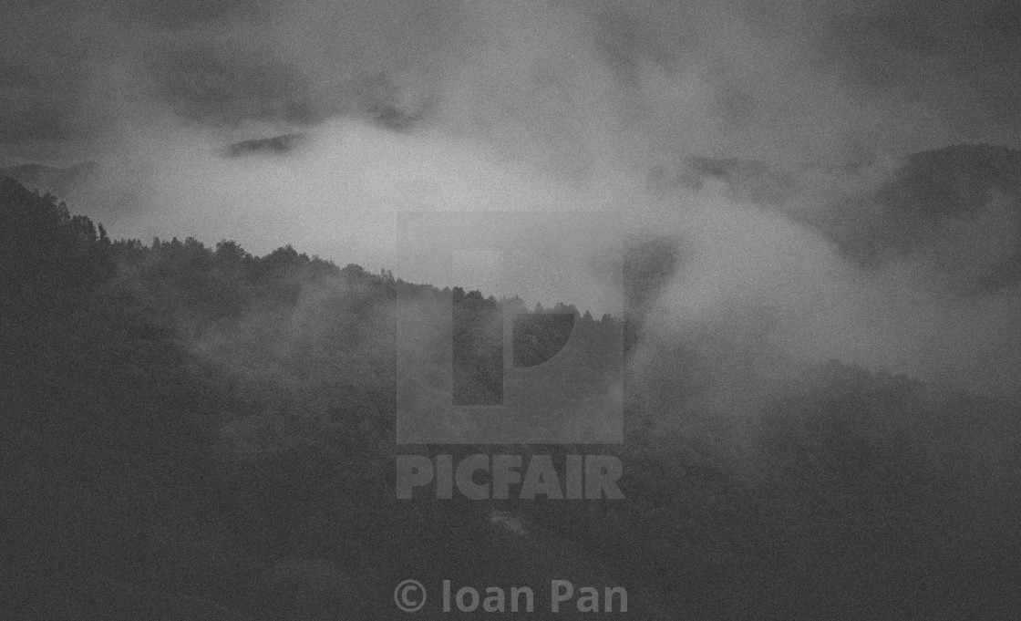 "Fog in peace" stock image