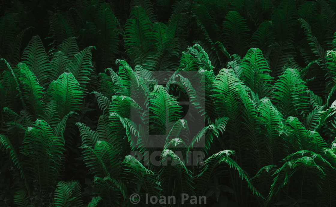 "On green" stock image