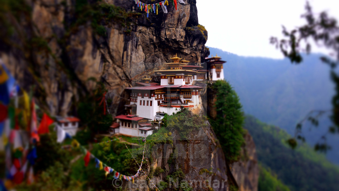 "Tiger's Nest" by Isaac Namdar - $54.04 "Tiger's Nest" stock image