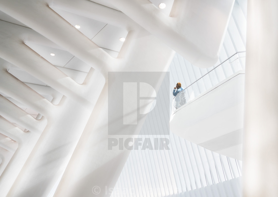 "The Oculus" by Isaac Namdar - $23.16 "The Oculus" stock image