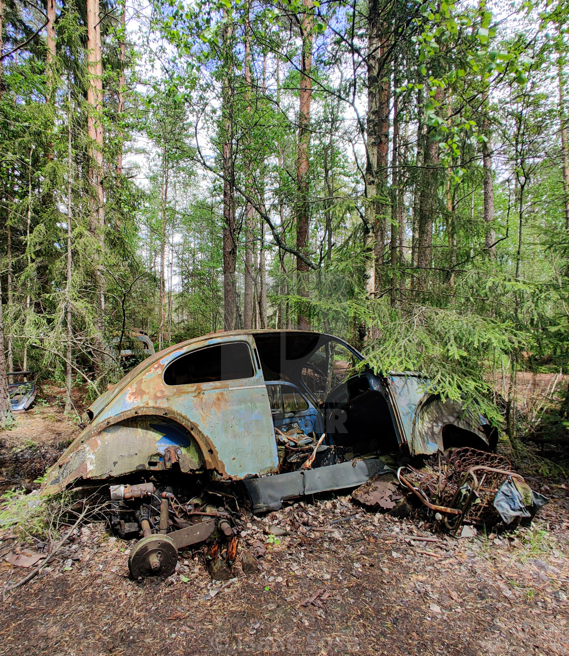 "Bilkyrkogården Kyrkö Mosse - Sweden, Ryd" stock image