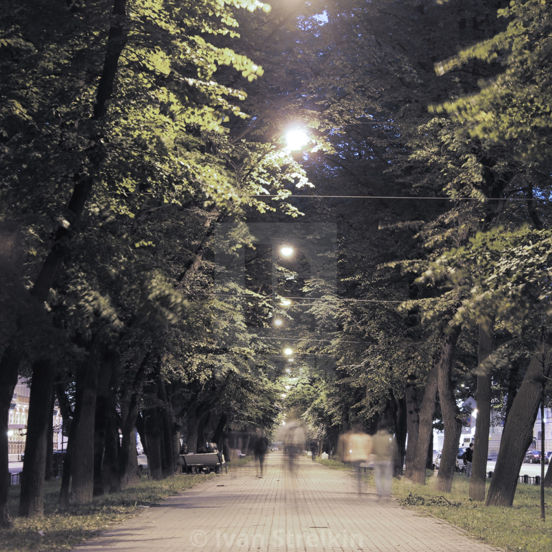 "A Boulevard in St. Petersburg" by Ivan Strelkin - $15.44 "A Boulevard in St. Petersburg" stock image