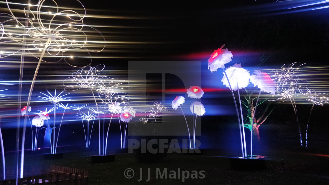 "Light flowers" stock image