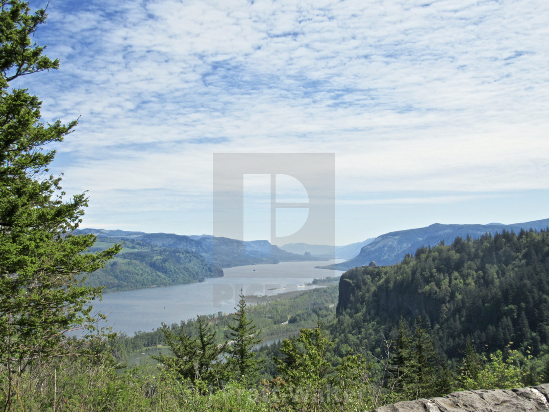 "Columbia River Gorge" stock image