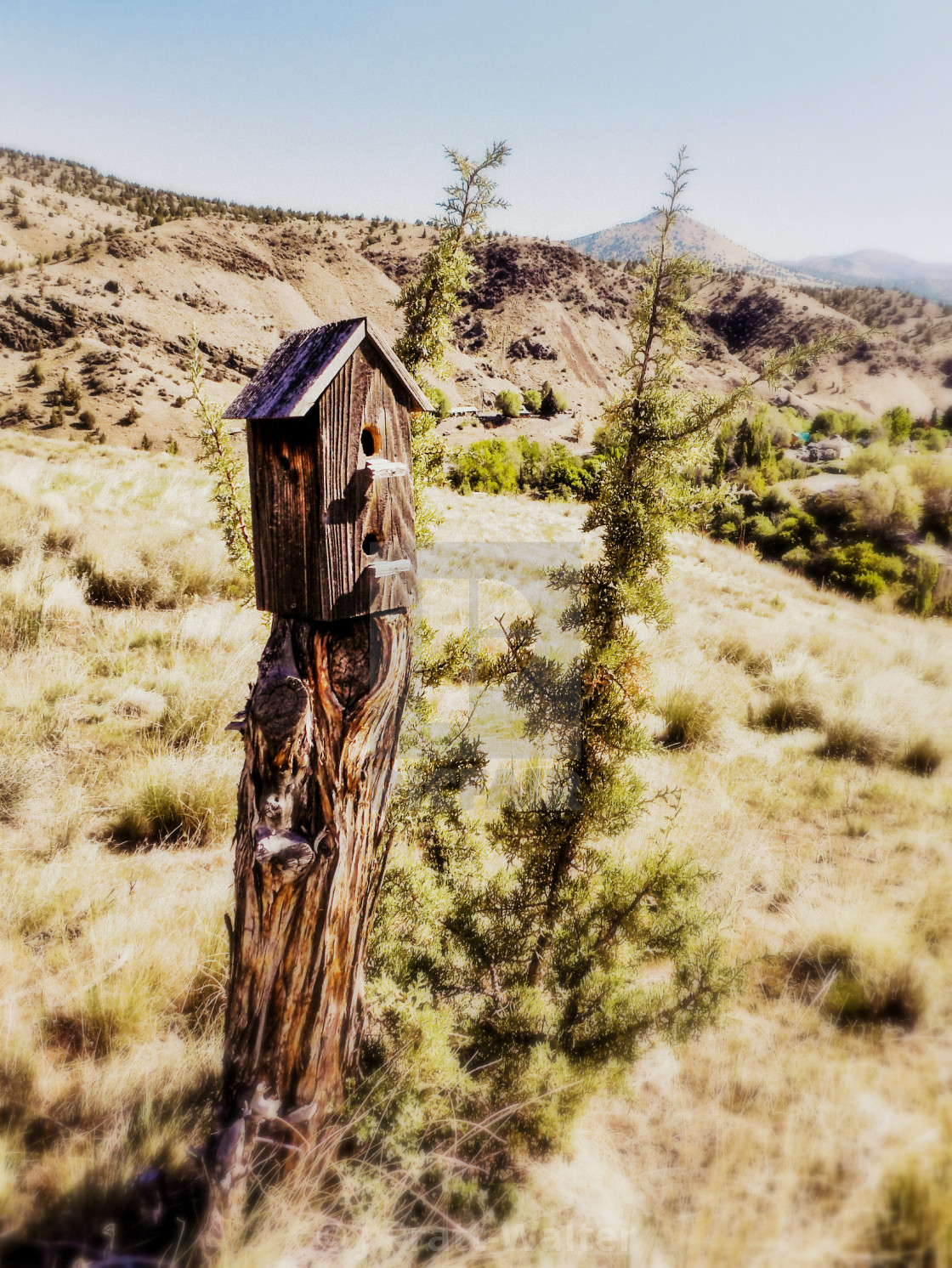 "Birdhouse Duplex" stock image