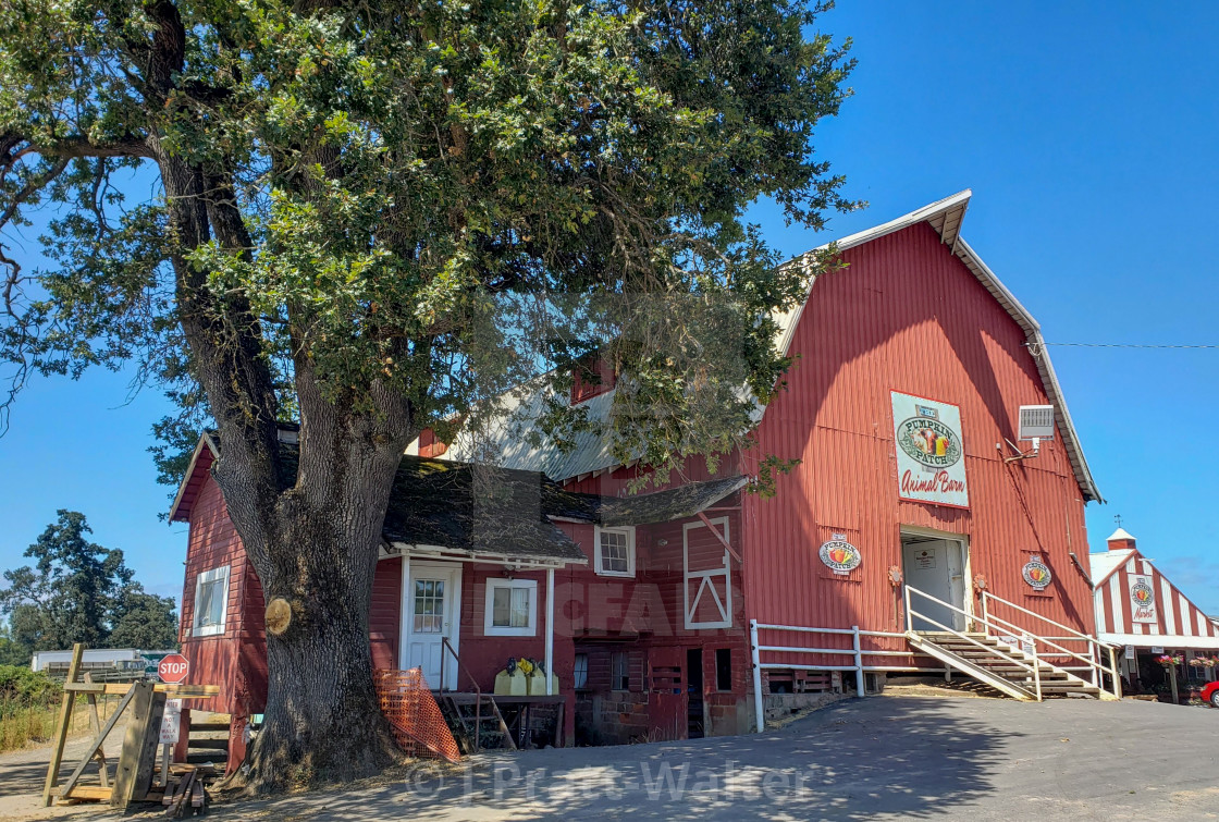 "Sauvie Island Red Barn" stock image