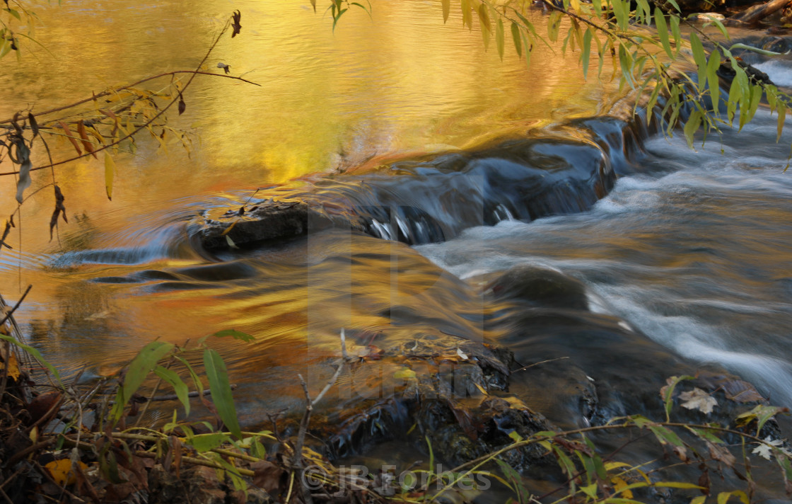 "Golden morning on Joachim Creek" stock image