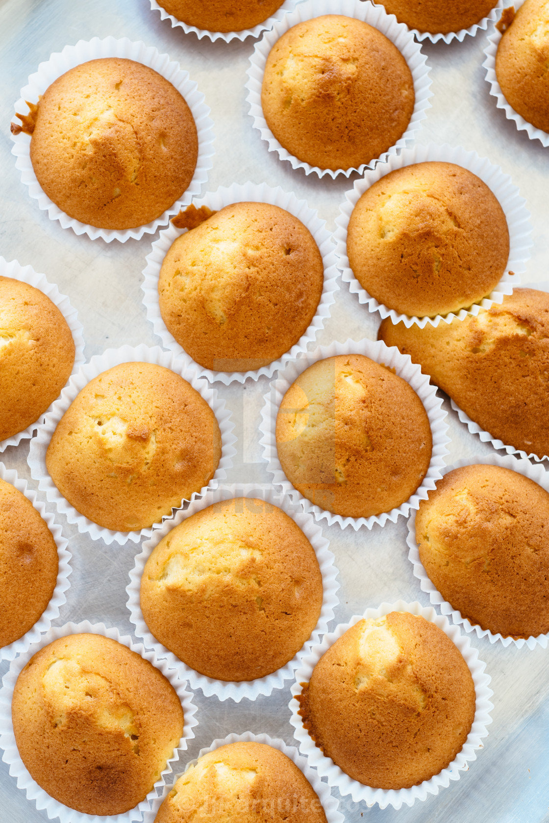 "Homemade muffins on tray. Top view" stock image