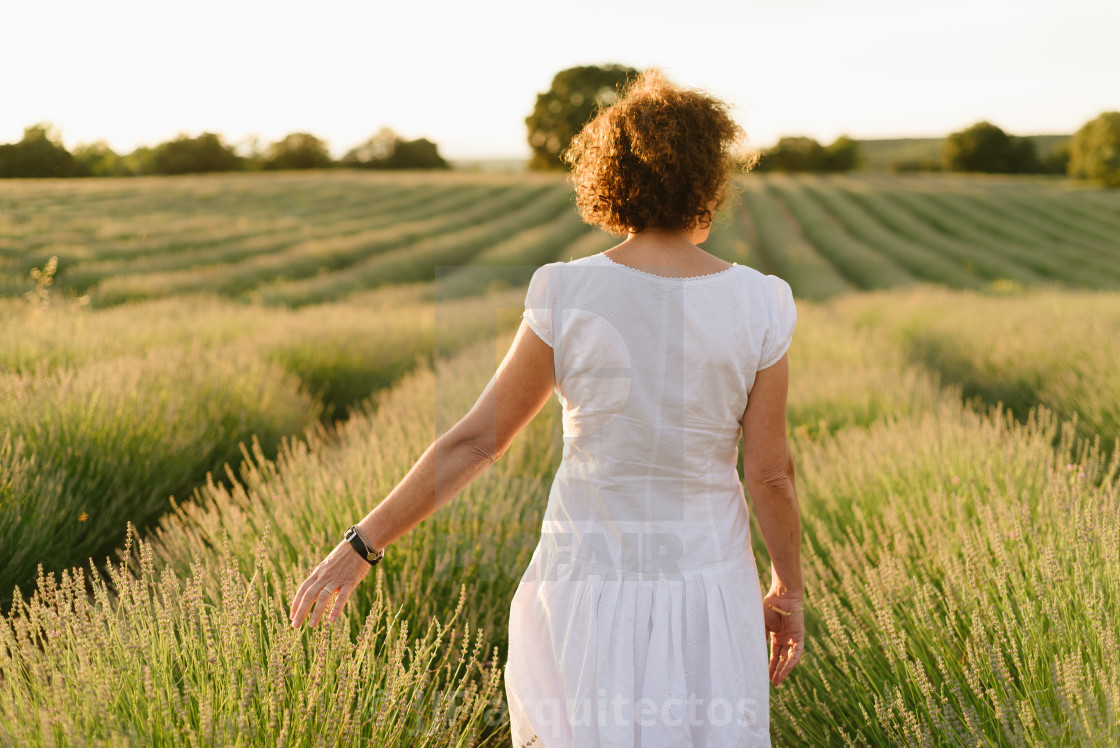 "Beautiful woman in a white dress walks in the lavender field" stock image