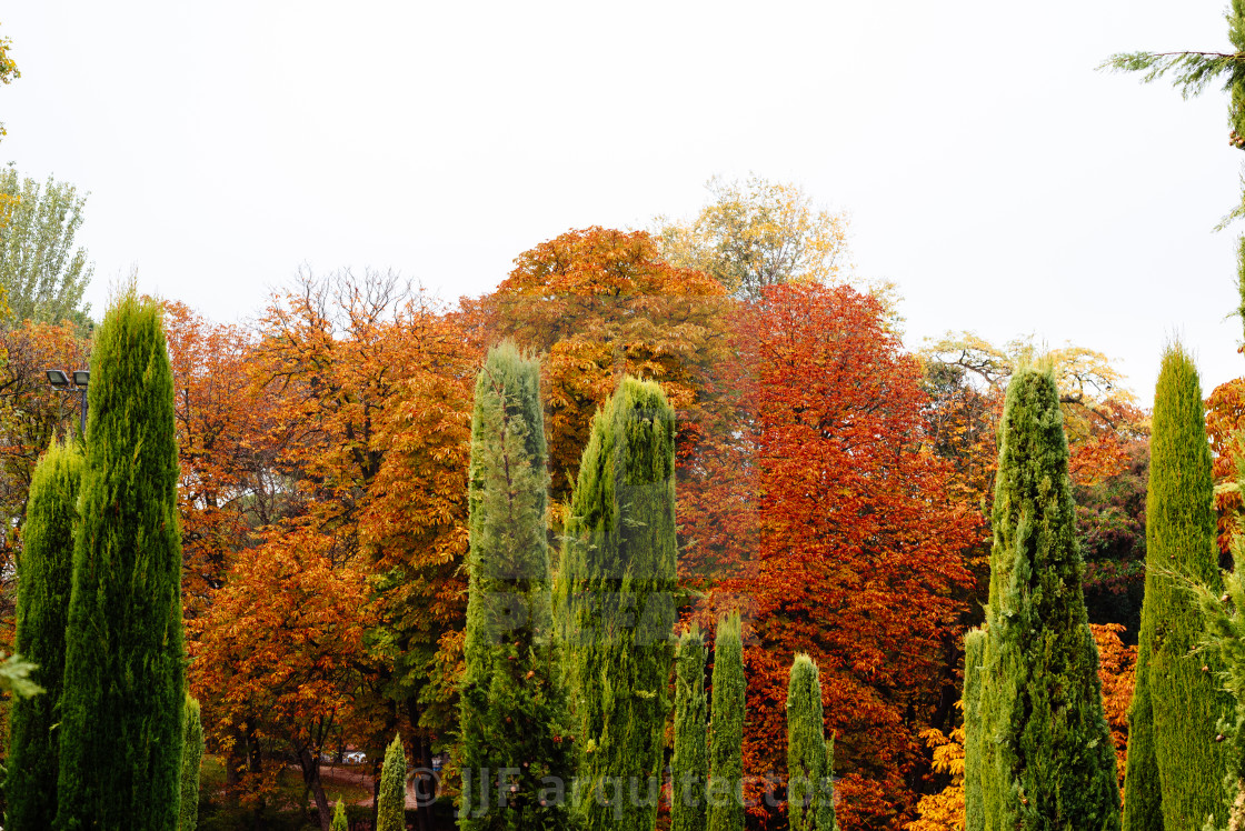 "Scene of the Buen Retiro Park in Madrid during the fall with vibrant colors" stock image