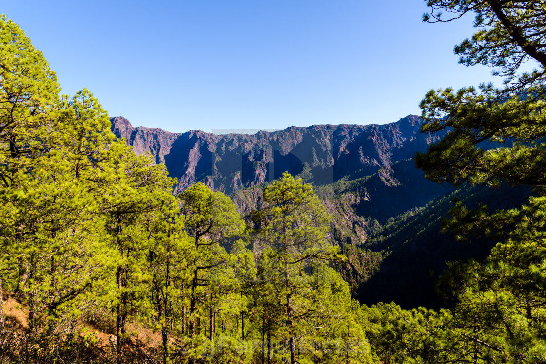 "National Park of Caldera de Taburiente. Old Volcano Crater with Canarian Pine Trees Forest" stock image