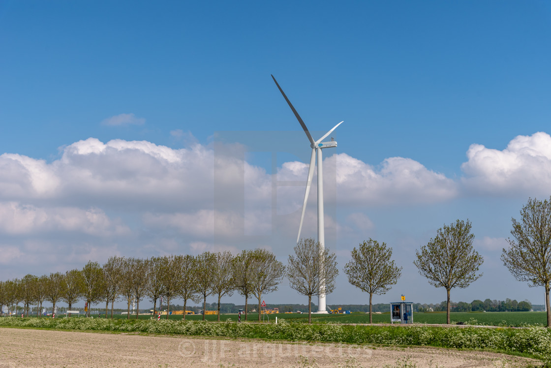 "Windmill and row of trees in rural area in the Netherlands" stock image