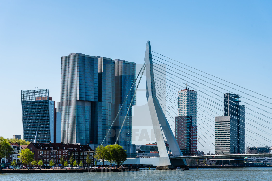 "Skyscrapers and Erasmusbrug bridge over the river in Rotterdam" by JJF arquitectos - $18.68 "Skyscrapers and Erasmusbrug bridge over the river in Rotterdam" stock image