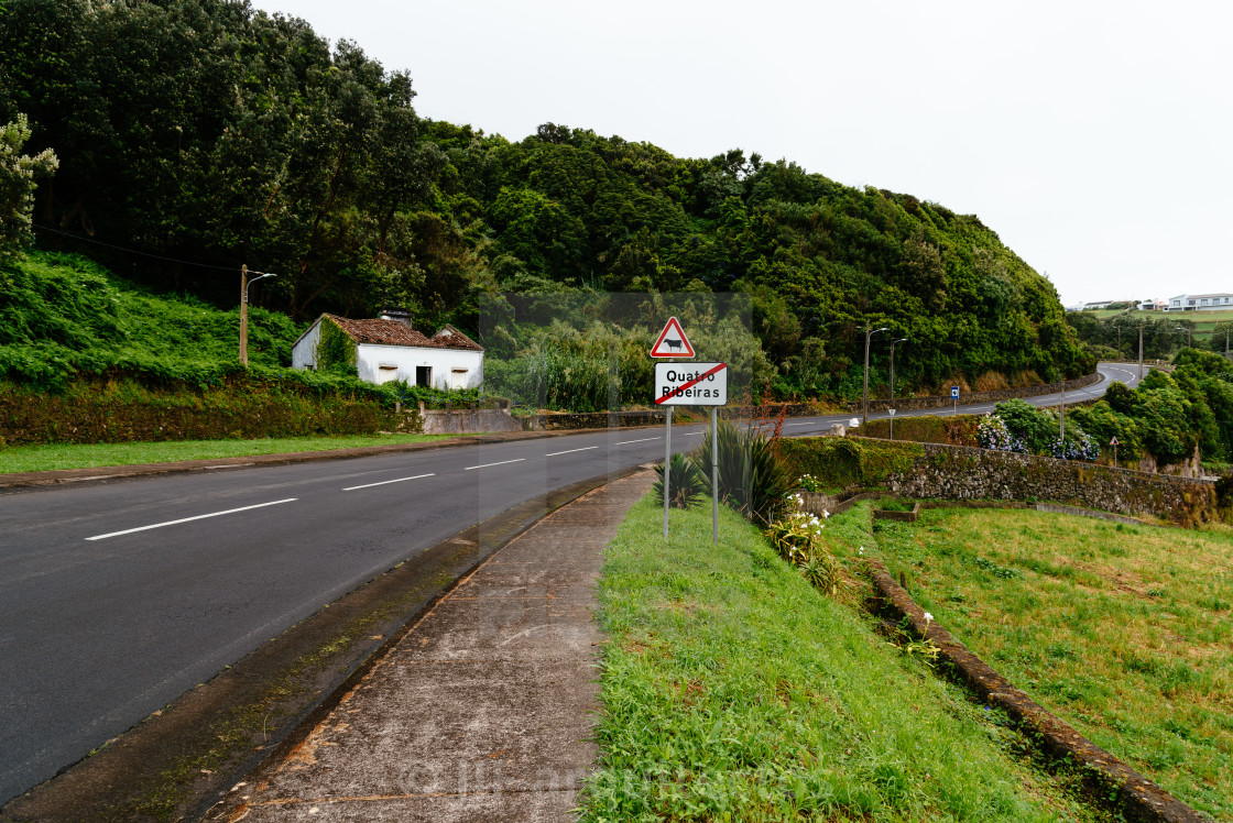 "Road on the north coast of the island of Terceira" stock image