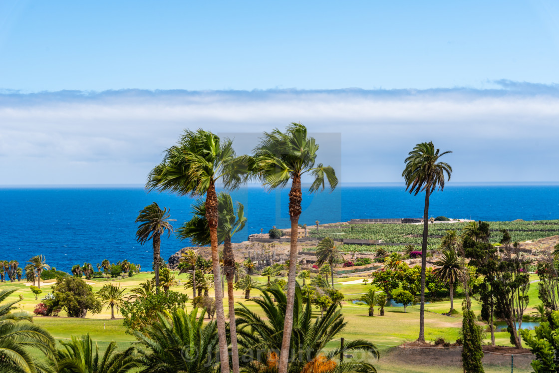 "Tropical landscape with palm trees, a green meadow and the blue sea in the background" stock image