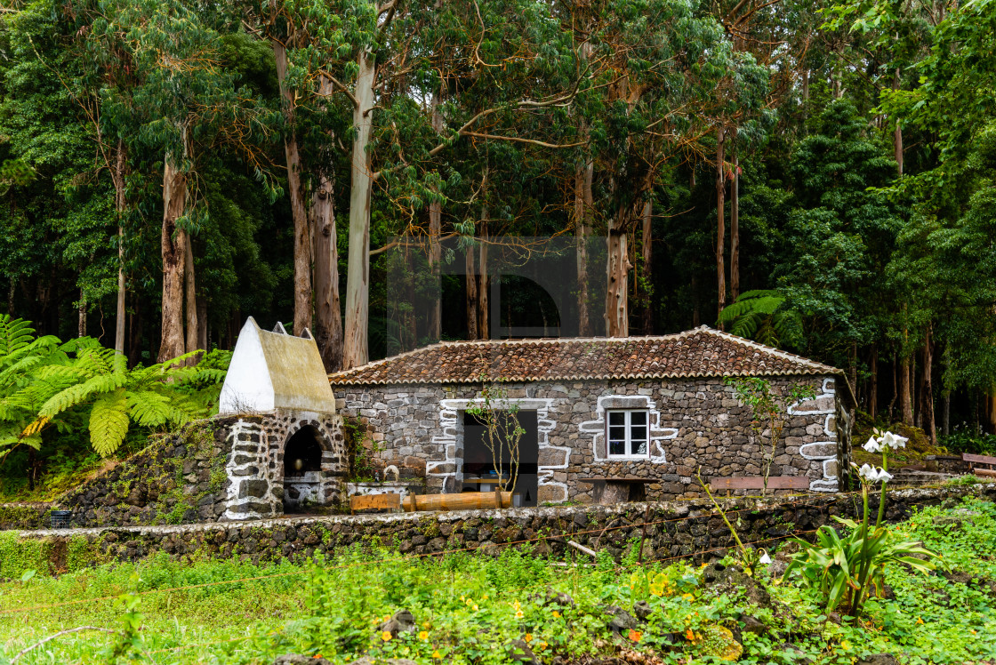 "Traditional stone cottage in Recreation area in the Mata da Serreta Forest Reserve in Terceira Island" stock image