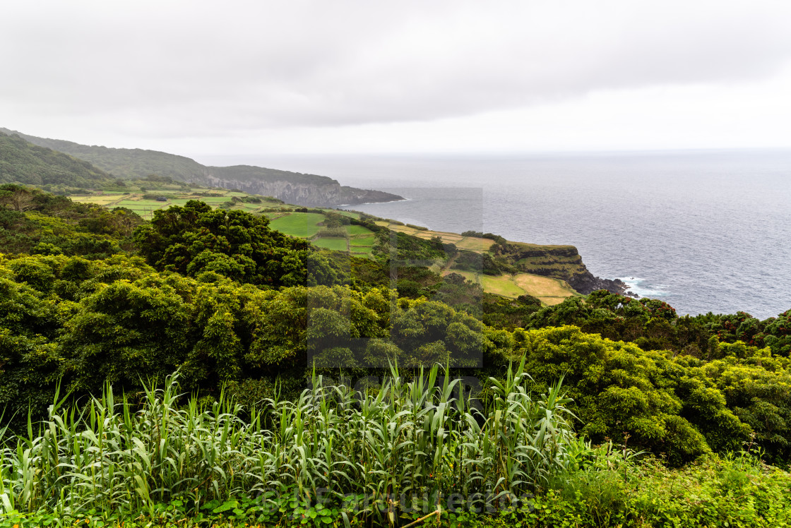 "Traditional rural landscape in Terceira Island, Azores, Portugal" stock image